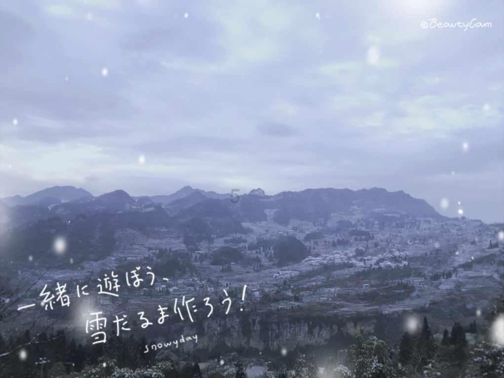 创作猫