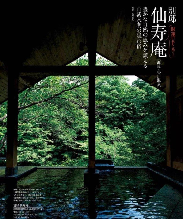 全民烧脑3去广告版