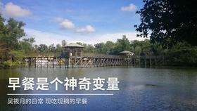 小猫钓鱼开船版最新版下载