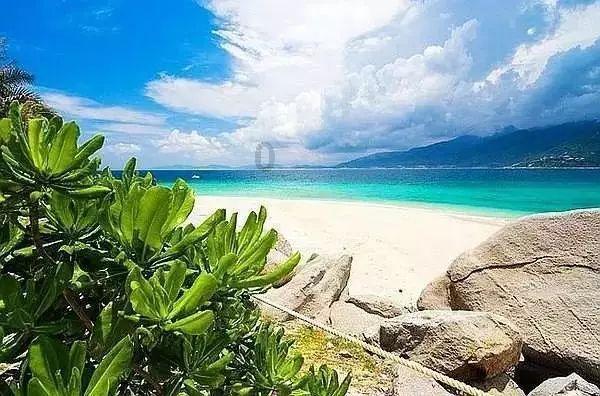 逃离潮湿的房屋