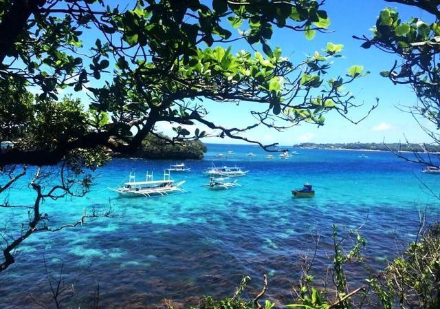 给湖南文旅上分 | 蔡璐：打造名导标杆，助力湖南旅游高质量发展