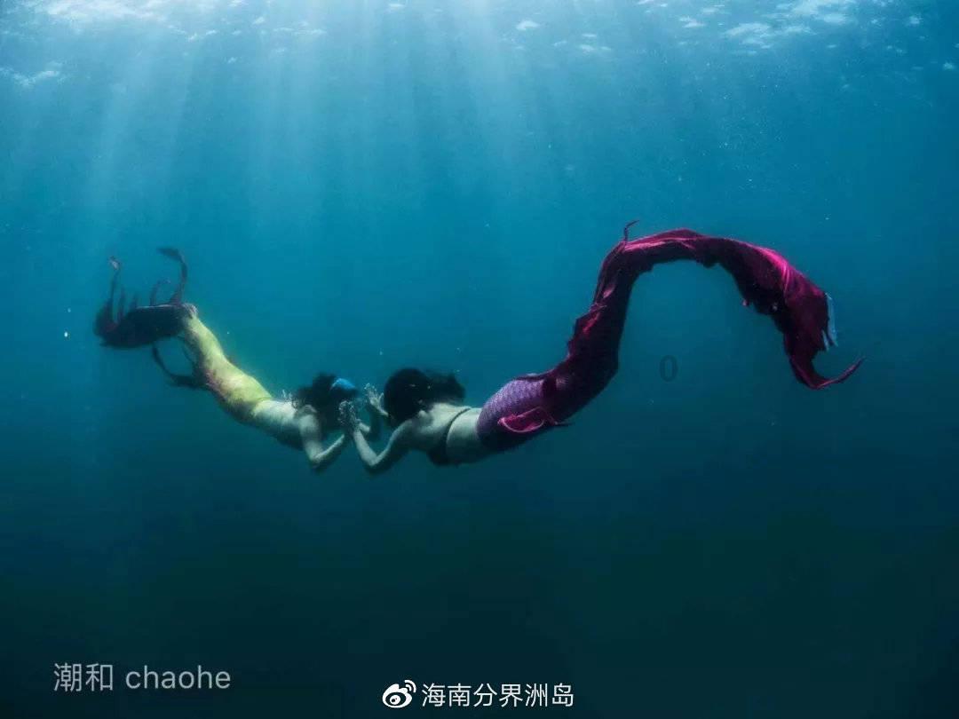 蛇蛇争霸