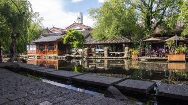 肯尼亚马赛马拉遇大雨天气 狮子抖动鬃毛非常惬意