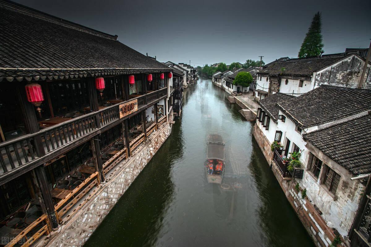 救援受困的长颈鹿